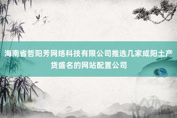 海南省哲阳芳网络科技有限公司推选几家咸阳土产货盛名的网站配置公司