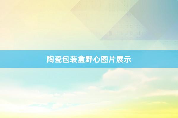 陶瓷包装盒野心图片展示