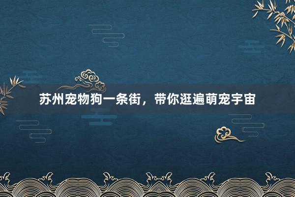 苏州宠物狗一条街,带你逛遍萌宠宇宙